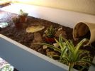 Landscaped